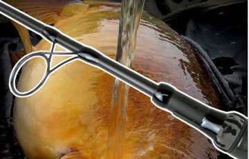 Carp Rods